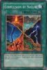 Yu-Gi-Oh Card - DB2-EN193 - CONVULSION OF NATURE (common) (Mint)