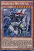 Yu-Gi-Oh Card - DESO-EN032 - DARKLORD NASTEN (secret rare holo) (Mint)
