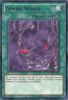 Yu-Gi-Oh Card - DL13-EN017 - ZOMBIE WORLD (red) (rare) (Mint)