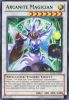 Yu-Gi-Oh Card - DL14-EN009 - ARCANITE MAGICIAN (green) (rare) (Mint)