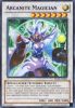 Yu-Gi-Oh Card - DL14-EN009 - ARCANITE MAGICIAN (purple) (rare) (Mint)