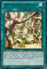 Yu-Gi-Oh Card - DL14-EN013 - SECRET VILLAGE OF THE SPELLCASTERS (red) (rare) (Mint)