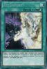 Yu-Gi-Oh Card - DLCS-EN145 - XYZ IMPORT (secret rare holo) (Mint)
