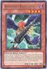 Yu-Gi-Oh Card - DP11-EN002 - BLACKWING - BORA THE SPEAR (rare) (Mint)
