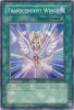Yu-Gi-Oh Card - DR04-EN045 - TRANSCENDENT WINGS (common) (Mint)