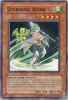 Yu-Gi-Oh Card - DR04-EN209 - STORMING WYNN (common) (Mint)