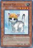 Yu-Gi-Oh Card - DR3-EN153 - RESCUE CAT (common) (Mint)