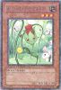Yu-Gi-Oh Card - DT02-EN071 - NATURIA ROSEWHIP (duel terminal rare parallel rare) (Mint)