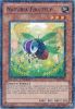 Yu-Gi-Oh Card - DT03-EN071 - NATURIA FRUITFLY (duel terminal normal parallel rare) (Mint)