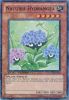 Yu-Gi-Oh Card - DT03-EN072 - NATURIA HYDRANGEA (duel terminal normal parallel rare) (Mint)