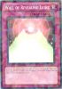 Yu-Gi-Oh Card - DT06-EN046 - WALL OF REVEALING LIGHT (duel terminal normal parallel rare) (Mint)