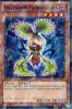 Yu-Gi-Oh Card - DT07-EN028 - EVILSWARM MANDRAGORA (duel terminal normal parallel rare) (Mint)