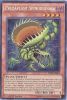 Yu-Gi-Oh Card - FUEN-EN004 - PREDAPLANT SPINODIONAEA (secret rare holo) (Mint)