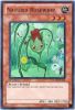 Yu-Gi-Oh Card - HA02-EN041 - NATURIA ROSEWHIP (super rare holo) (Mint)