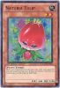 Yu-Gi-Oh Card - HA03-EN013 - NATURIA TULIP (super rare holo) (Mint)