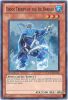 Yu-Gi-Oh Card - HA03-EN018 - SHOCK TROOPS OF THE ICE BARRIER (super rare holo) (Mint)