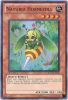 Yu-Gi-Oh Card - HA03-EN042 - NATURIA HORNEEDLE (super rare holo) (Mint)