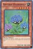 Yu-Gi-Oh Card - HA03-EN044 - NATURIA HYDRANGEA (super rare holo) (Mint)