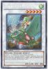 Yu-Gi-Oh Card - HA05-EN053 - DAIGUSTO GULLDOS (secret rare holo) (Mint)