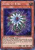 Yu-Gi-Oh Card - LC5D-EN092 - GLOW-UP BULB (secret rare holo) (Mint)