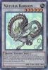 Yu-Gi-Oh Card - LC5D-EN245 - NATURIA BARKION (ultra rare holo) (Mint)