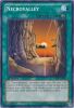 Yu-Gi-Oh Card - LCJW-EN260 - NECROVALLEY (common) (Mint)