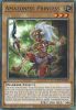 Yu-Gi-Oh Card - LDS1-EN022 - AMAZONESS PRINCESS (common) (Mint)