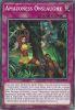 Yu-Gi-Oh Card - LDS1-EN025 - AMAZONESS ONSLAUGHT (common) (Mint)
