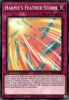 Yu-Gi-Oh Card - LDS2-EN088 - HARPIE'S FEATHER STORM (common) (Mint)