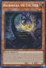 Yu-Gi-Oh Card - LEDE-EN013 - RAGNARAIKA THE EVIL SEED (secret rare holo) (Mint)