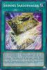 Yu-Gi-Oh Card - LEDE-EN051 - SHINING SARCOPHAGUS (secret rare holo) (Mint)