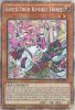 Yu-Gi-Oh Card - LIOV-EN017 - LIVE TWIN KI-SIKIL FROST (starlight rare) (Mint)