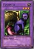 Yu-Gi-Oh Card - LOB-022 - FUSIONIST (rare) [1st Edition] (Mint)