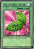 Yu-Gi-Oh Card - LOB-099 - GOBLIN'S SECRET REMEDY (rare) [1st Edition] (Mint)