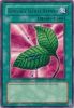 Yu-Gi-Oh Card - LOB-099 - GOBLIN'S SECRET REMEDY (rare) (Mint)
