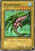 Yu-Gi-Oh Card - LOB-111 - MISAIRUZAME (common) [1st Edition] (Mint)