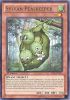 Yu-Gi-Oh Card - LVAL-EN015 - SYLVAN PEASKEEPER (rare) (Mint)