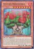 Yu-Gi-Oh Card - LVAL-EN020 - SYLVAN HERMITREE (ultra rare holo) (Mint)