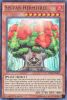 Yu-Gi-Oh Card - MP14-EN201 - SYLVAN HERMITREE (ultra rare holo) (Mint)