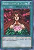 Yu-Gi-Oh Card - NUMH-EN053 - RESURRECTION OF CHAKRA (super rare holo) (Mint)