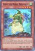 Yu-Gi-Oh Card - AP08-EN009 - SPIRITUAL BEAST RAMPENGU (super rare holo) (Mint)