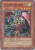 Yu-Gi-Oh Card - FOTB-ENSE2 - WINGED RHYNOS (super rare holo) (Mint)
