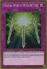 Yu-Gi-Oh Card - MVP1-ENG31 - SPIRITUAL SWORDS OF REVEALING LIGHT (gold rare holo) (Mint)