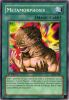 Yu-Gi-Oh Card - PGD-090 - METAMORPHOSIS (common) [1st Edition] (Mint)