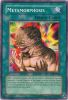 Yu-Gi-Oh Card - PGD-090 - METAMORPHOSIS (common) (Mint)