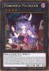 Yu-Gi-Oh Card - PGL2-EN047 - DOWNERD MAGICIAN (gold rare holo) (Mint)