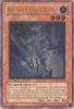 Yu-Gi-Oh Card - POTD-EN003 - NEO-SPACIAN AQUA DOLPHIN (ultimate rare holo) (Mint)