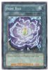 Yu-Gi-Oh Card - PP02-EN011 - ROSE BUD (secret rare holo) (Mint)