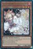 Yu-Gi-Oh Card - RA01-EN008 - ASH BLOSSOM & JOYOUS SPRING  (prismatic ultimate rare holo) (Mint)