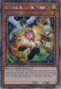 Yu-Gi-Oh Card - RA02-EN006 - DROLL & LOCK BIRD (ALTERNATE ART)  (platinum secret rare holo) (Mint)
